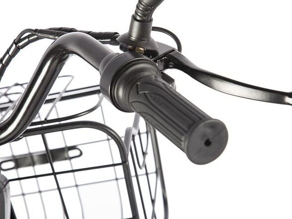 Электротрицикл GREEN CITY e-ALFA Trike